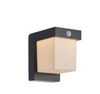 Clim Solar Wall / lawn Light