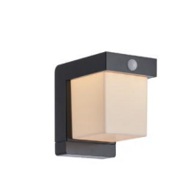Clim Solar Wall / lawn Light