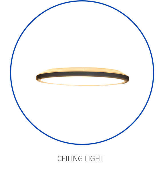 CEILING-LIGHT