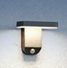 Cast Solar Wall Light with PIR