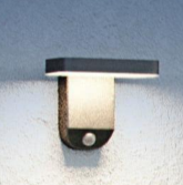 Cast Solar Wall Light with PIR