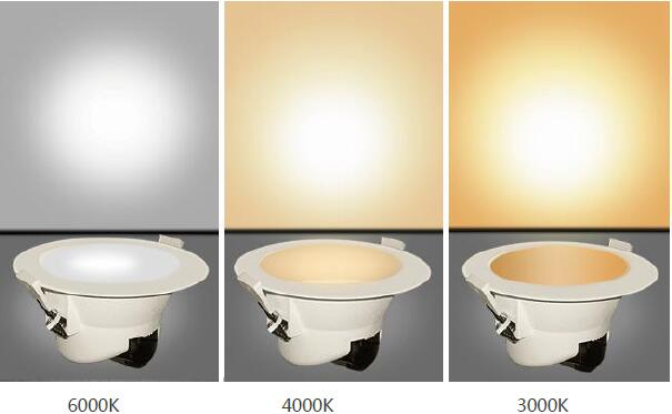 QQ截图20210820074601