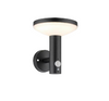 Sona Solar lawn light